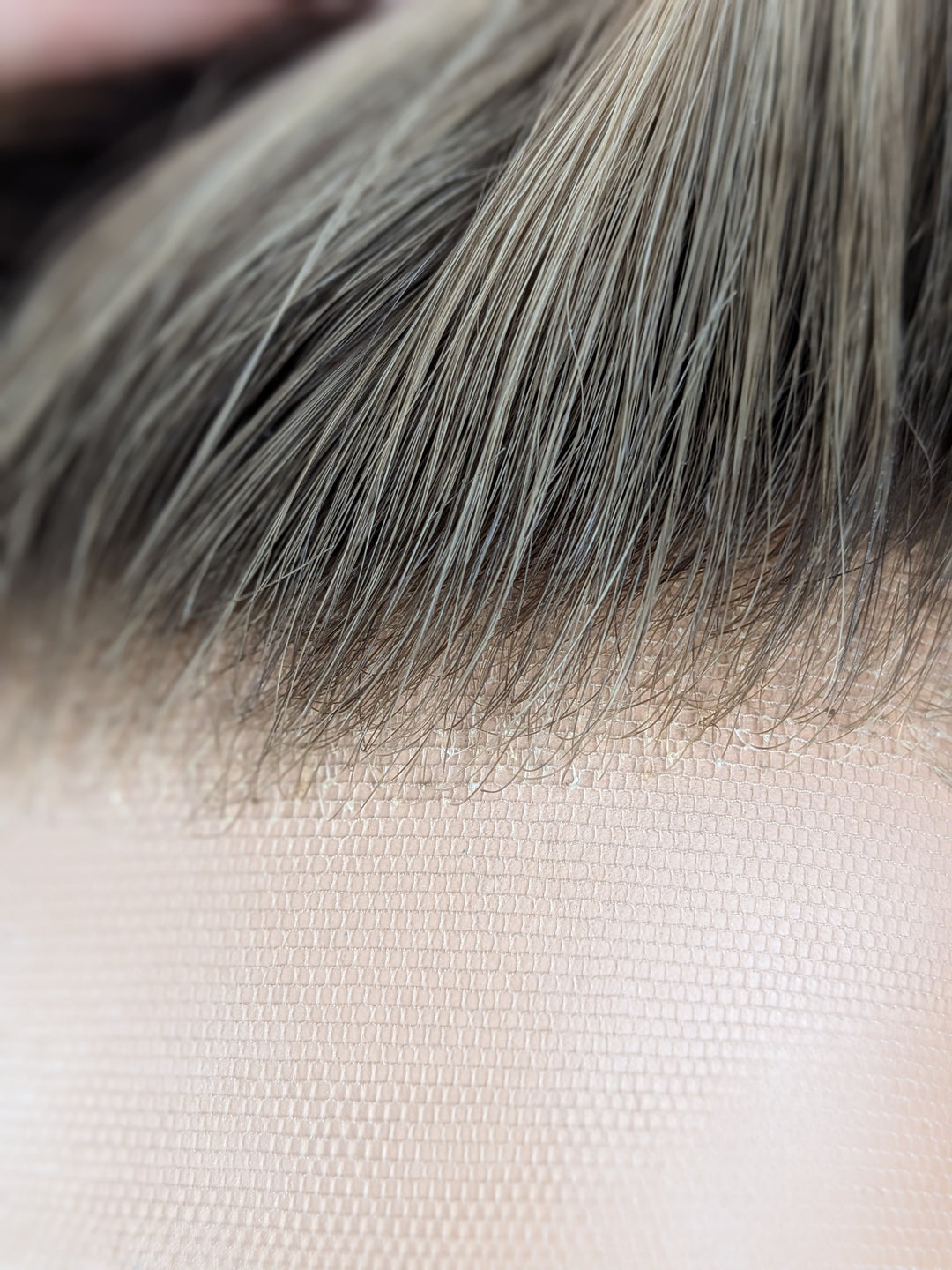 12" Lux Lace Wig - Cedar Blonde (M)